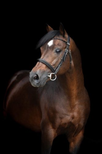 C8C815E0-111B-4D30-B5BB-A8C4E2B976DD