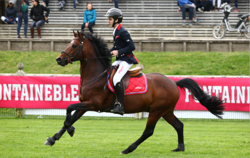 fontainebleau-plat